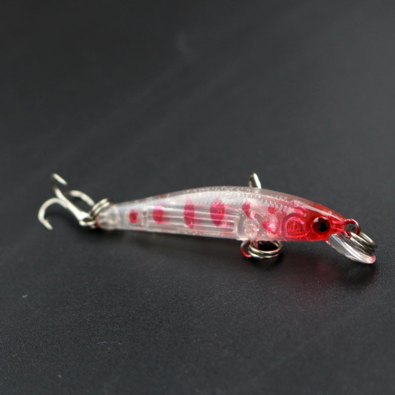 Micromatter Luya bait horse mouth bait Mino 5cm2 Kluya bait bionic bait mouth white strip bait bait wholesale